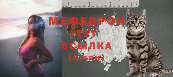 хмурый Абаза