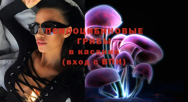 сатива Абдулино