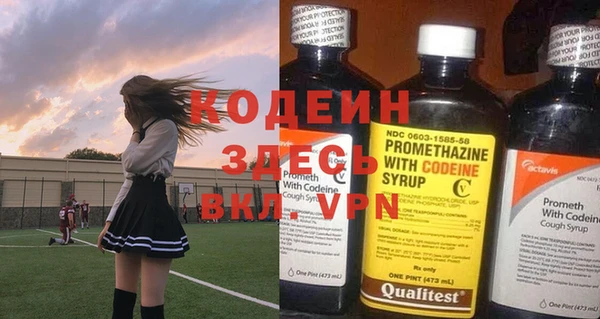 хмурый Абаза