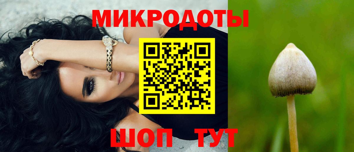 Псилоцибиновые грибы Psilocybe Красный Сулин
