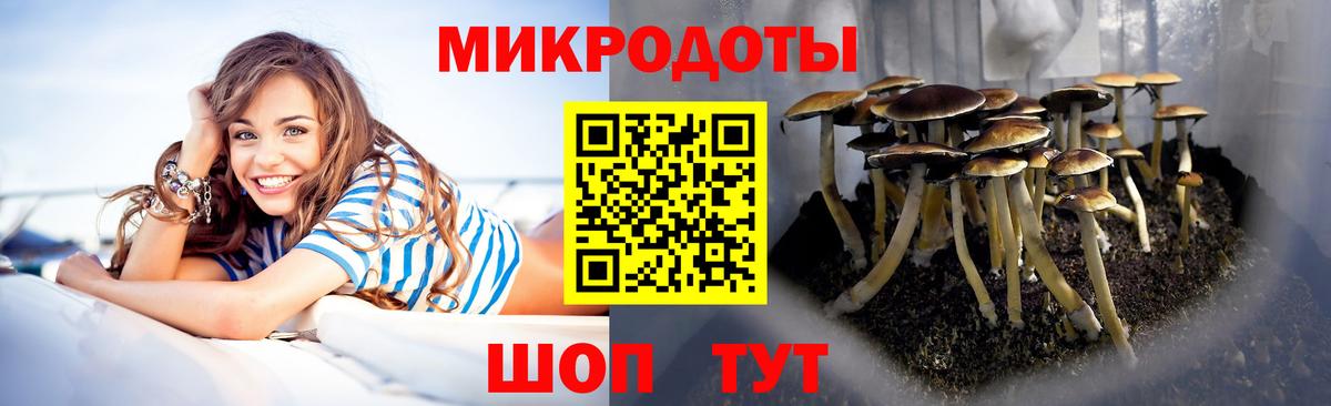 Красный Сулин  Галлюциногенные грибы GOLDEN TEACHER  Галлюциногенные грибы GOLDEN TEACHER  Вход с VPN 