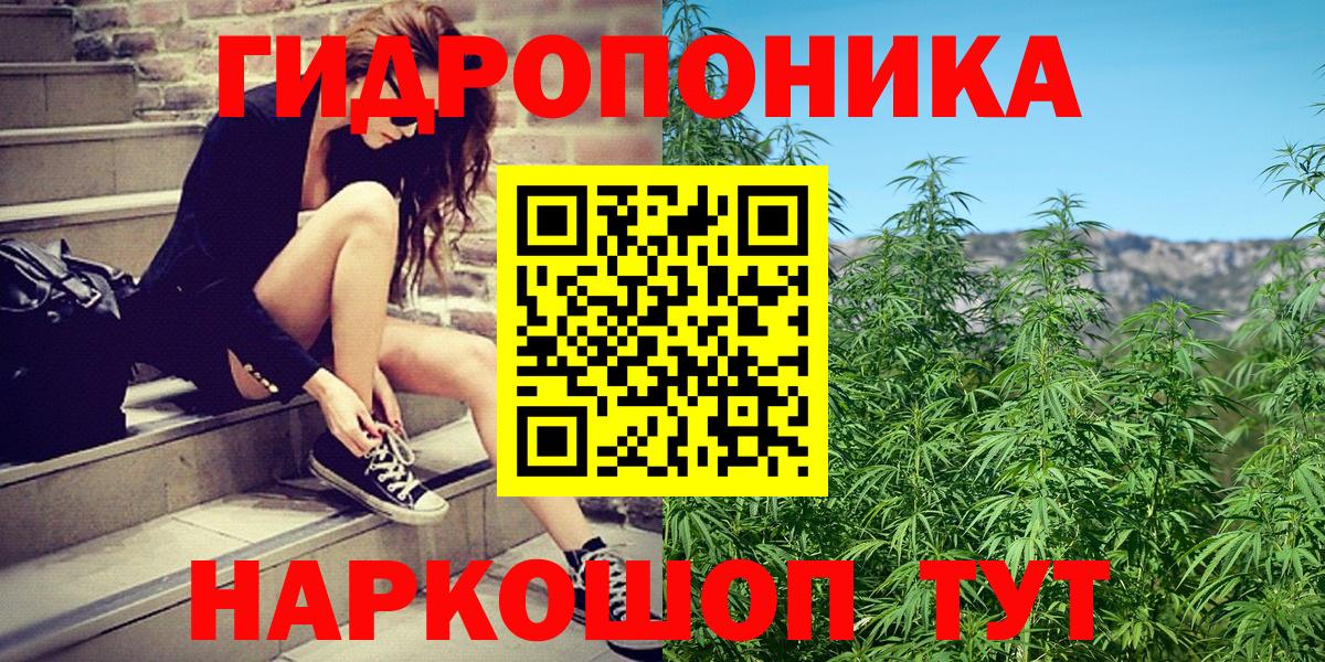 Шишки марихуана индика Красный Сулин